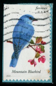 4883 US (49c) Songbirds - Mountain Bluebird SA, used on paper