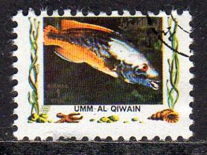 Umm al Qiwain (Unlisted) - CTO - Cichlid (Fish)