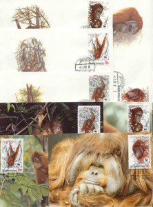 Indonesia 8 FDC/cards WWF/Monkies 1989