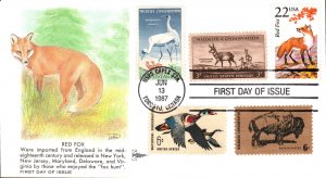 #2335 Red Fox Combo Gillcraft FDC