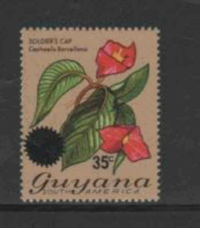 GUYANA #234 1976 35c on 60c FLOWER MINT VF NH O.G