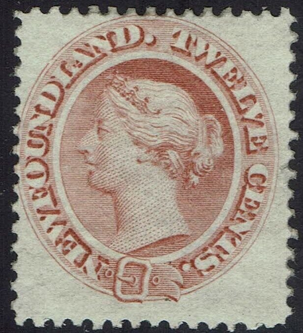 NEWFOUNDLAND 1865 QV 12C