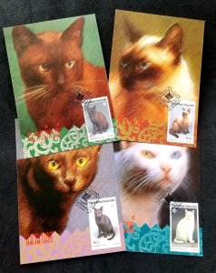 *FREE SHIP Thailand Siamese Cats 1995 Pet (maxicard) *Thaipex '95 *see scan