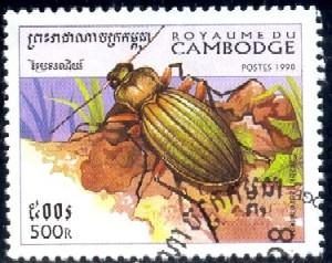 Insect, Golden Ground Beetle, Cambodia stamp SC#1742 Used