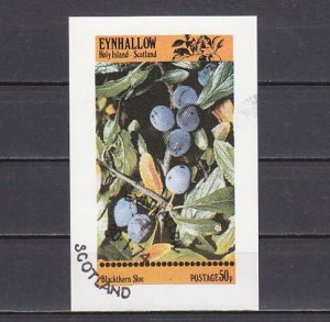 Eynhallow, 1974 issue. Fruits & Berries s/sheet. Canceled.