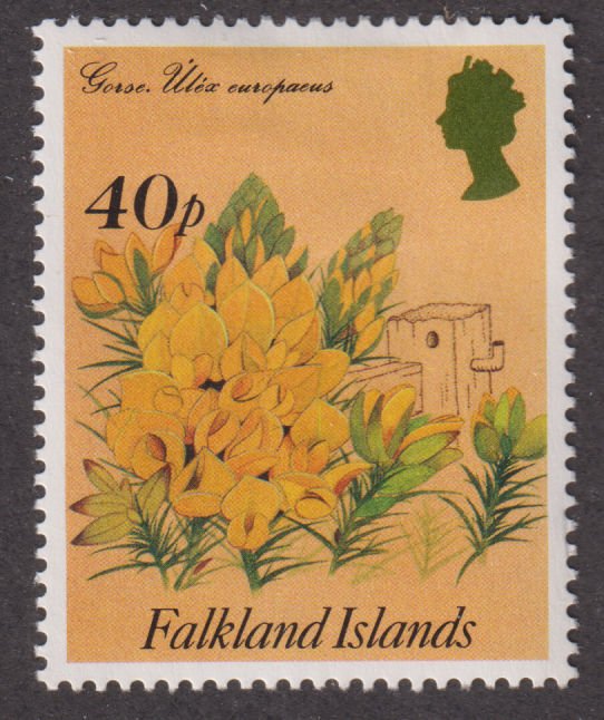 Falkland Islands 628 Gorse 1995