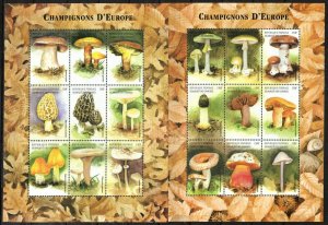 Comoro Stamp 918-919  - Mushrooms of Europe