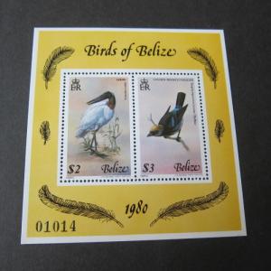 Brazil 1980 Sc 501 bird MNH