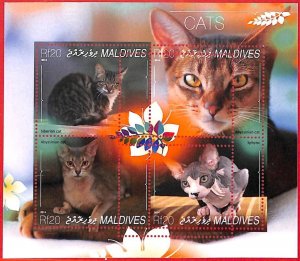 A4008 - MALDIVES - ERROR MISPERF, Miniature s: 2014, Cats, Siberian, Sphynx