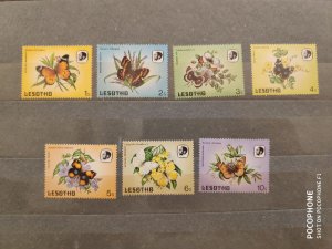 Lesotho	butterflies  (F5)