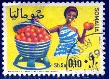 Fruit, Oranges, Somalia stamp SC#324 Used