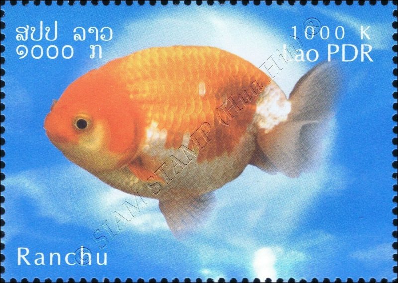 Goldfish Breeds -PERFORATE- (MNH)