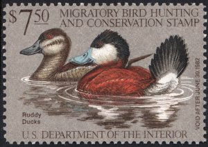 RW48 $7.50 Ruddy Ducks Duck Stamp (1981) MNH