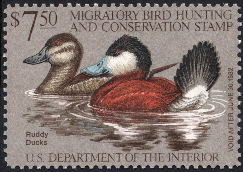 RW48 $7.50 Ruddy Ducks Duck Stamp (1981) MNH
