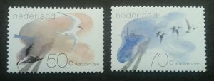 Netherlands Waddenzee 1982 Bird Painting (stamp) MNH *see scan