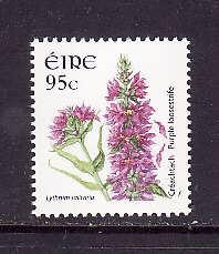 Ireland-Sc#1711-unused NH Flower-Purple loosestrife-2007-