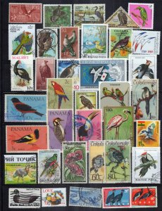 Birds Stamp Collection Mint/Used Parrots Woodpeckers Wildlife ZAYIX 0424S0314