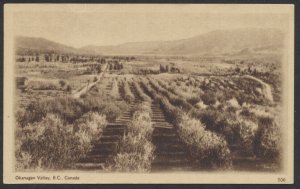 Canada Sepia Scenes Card, #506 Okanagan Valley, B.C., Canada - Unused, Tear