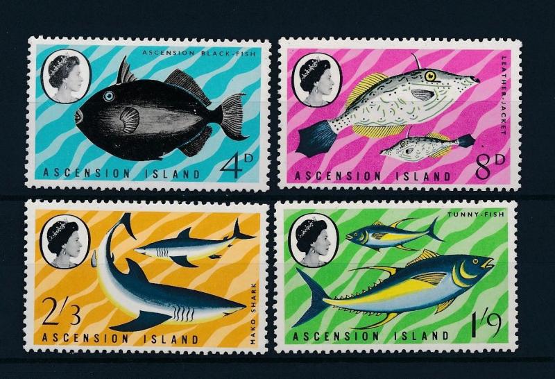 [47149] Ascension 1968 Marine life Fish Shark MNH