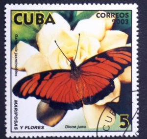 CUBA Sc# 4333  BUTTERFLIES butterfly  5c   2003 used / cto