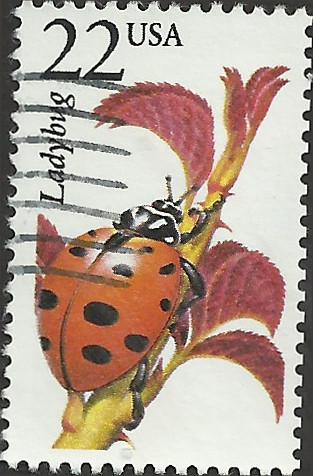 # 2315 USED LADYBUG