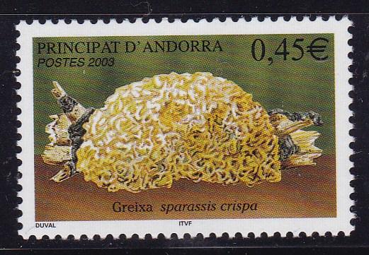 Andorra (French) 2004 .45c Sparassis Crispa VF/NH(**)