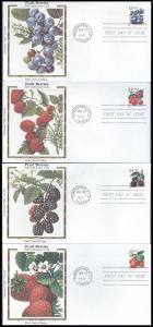 #3302-05 Fruit Berries Colorano FDC Set