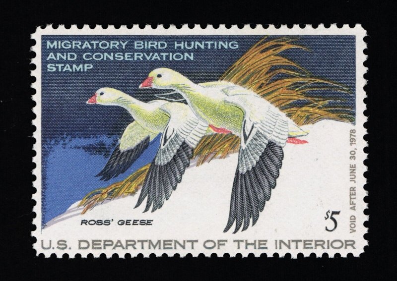 EXCELLENT GENUINE SCOTT #RW44 VF-XF MINT PRISTINE OG NH 1977 DUCK STAMP PSE CERT