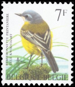 Belgium 1997 Sc 1660 Bird Wagtail