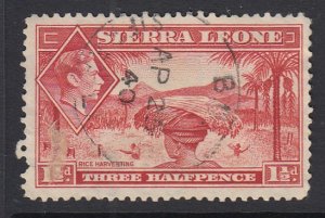 SIERRA LEONE, Scott 175, used