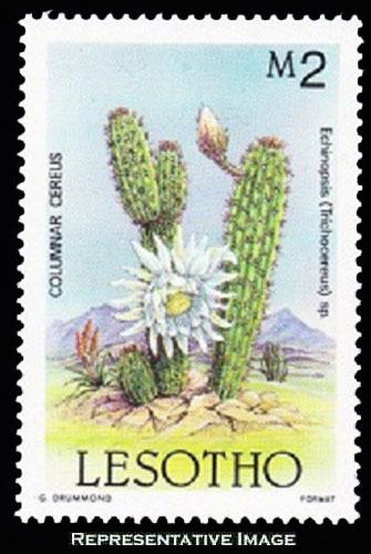Lesotho Scott 519