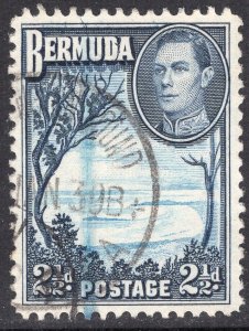 BERMUDA SCOTT 120