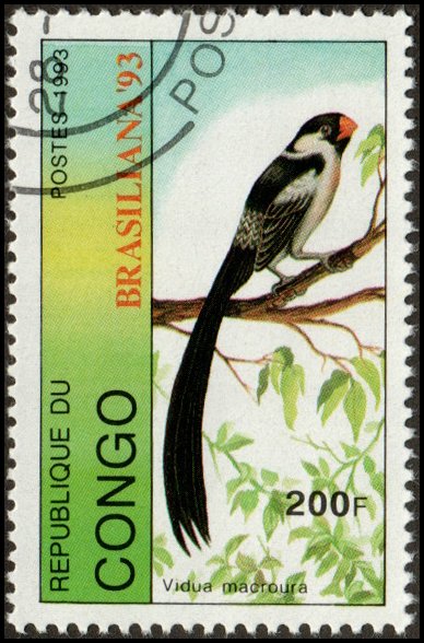 Congo Republic 1040 - Cto - 200fr Pin-tailed Whydah (1993) (cv $2.50) +