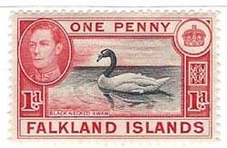 Falkland Islands 85 (M) 