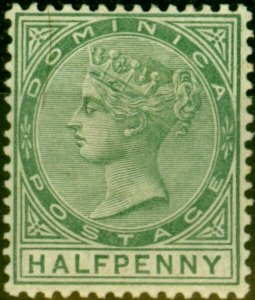 Dominica 1886 1/2d Dull Green SG20 Fine Lightly Mtd Mint