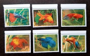 *FREE SHIP Iran Ornamental Fresh Water Fishes 2004 Fighting Gold (stamp) MNH