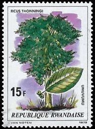 RWANDA   #919 MNH (1)