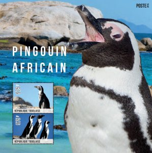 Togo 2014 - African Penguins-Souviner Sheet-MNH