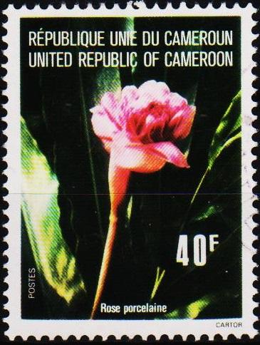 Cameroun. 1976 40f. S.G.766 Fine Used