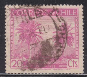 Chile 188 Coquito Palm Trees 1936