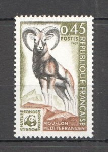 B0182 1969 France Fauna Wwf Wild Animals Moufflon #1683 St Mnh