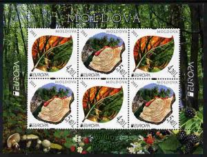 Moldova 2011 Europa - Forests perf m/sheet unmounted mint