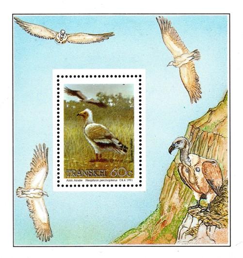 Transkei - 1991 Philatelic Foundation MS Vulture MNH**