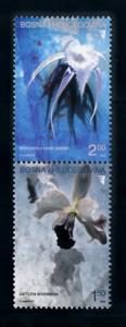 [69972] Bosnia Herzegovina 2004 Flora Flowers Blumen Pair  MNH