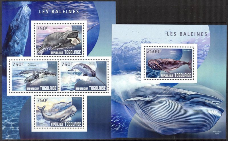 Togo 2014 Marine Life Whales Sheet + S/S MNH