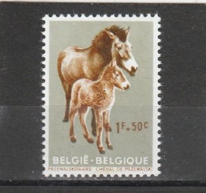 Belgium  Scott#  B691  MNH  (1961 Przewalski Horses)