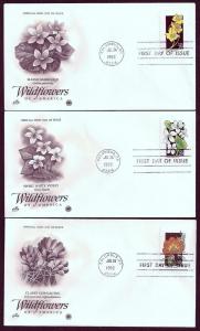 UNITED STATES FDCs (50) 29¢ Wildflowers 1992 Postal Commem