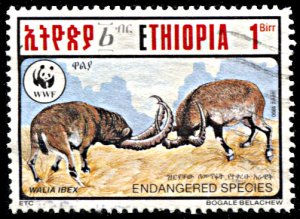 Ethiopia 1306, used, Walia Ibex, World Wildlife Fund