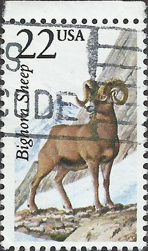 # 2288 USED BIGHORN SHEEP