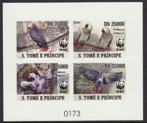 Sao Tome Birds WWF Grey Parrot De-Luxe Sheet Combo Imperf 2009 MNH